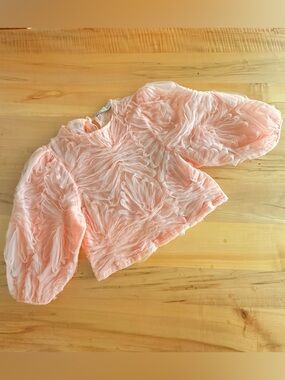 ZARA pink tulle puff sleeve top S